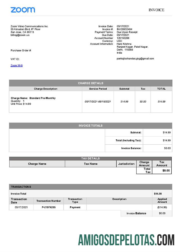 realista Modelo de fatura Zoom dos EUA